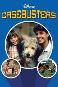 Casebusters' Poster