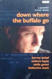 Down Where the Buffalo Go' Poster