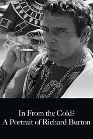 Richard Burton In from the Cold' Poster