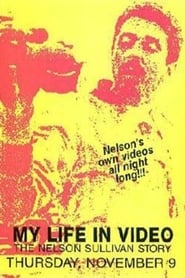 Nelson Sullivans Video Diaries' Poster