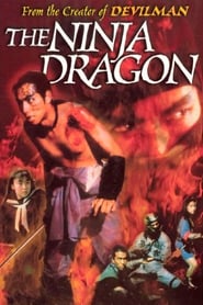 Legend of the Shadowy Ninja The Ninja Dragon' Poster