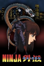 Ninja Gaiden' Poster