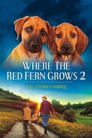 Where The Red Fern Grows Part 2' Poster