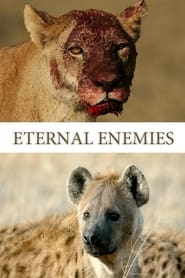 Eternal Enemies Lions and Hyenas' Poster