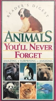 Animals Youll Never Forget' Poster
