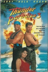 Streaming sources forThunder in Paradise 3