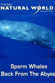 Sperm Whales Back from the Abyss' Poster