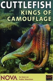 Cuttlefish Kings of Camouflage' Poster