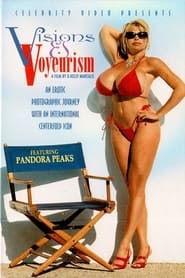 Visions and Voyeurism' Poster