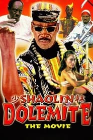 Shaolin Dolemite' Poster