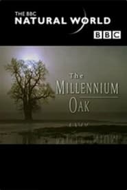 The Millennium Oak' Poster