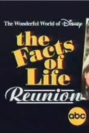 The Facts of Life Reunion' Poster