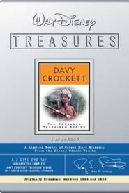 The Crockett Craze' Poster