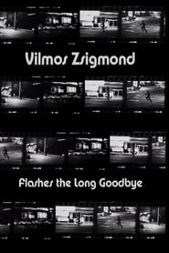 Vilmos Zsigmond Flashes The Long Goodbye' Poster