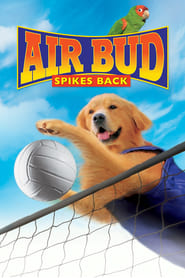 Streaming sources forAir Bud Spikes Back
