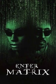 Making Enter the Matrix' Poster
