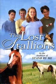 The Lost Stallions' Poster