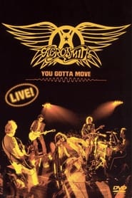 Aerosmith  You Gotta Move