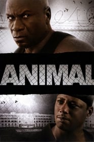 Streaming sources forAnimal
