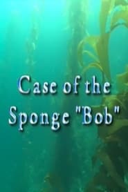 Case of the Sponge Bob' Poster