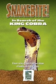 Snake Bite In Search of the King Cobra' Poster