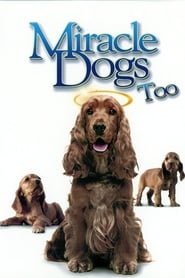 Miracle Dogs Too' Poster