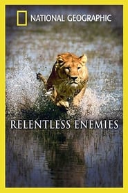 Relentless Enemies' Poster