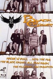 The Black Crowes  Freak n Roll Into the Fog' Poster