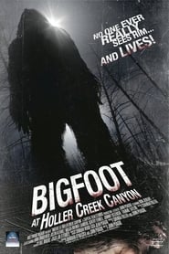 Bigfoot at Holler Creek Canyon' Poster
