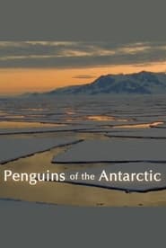 Penguins of the Antarctic' Poster