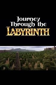 Journey Through the Labyrinth' Poster