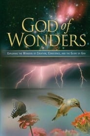 God of Wonders' Poster