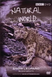 Snow Leopard Beyond the Myth' Poster