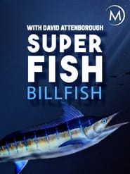 Superfish' Poster