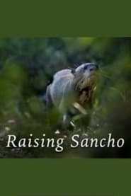 Raising Sancho' Poster