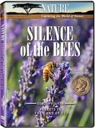 Silence of the Bees' Poster