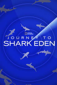 Journey to Shark Eden' Poster