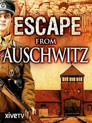 Escape from Auschwitz' Poster
