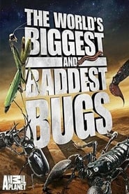 The Worlds Biggest and Baddest Bugs' Poster