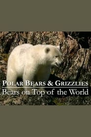 Polar Bears  Grizzlies Bears on Top of the World' Poster