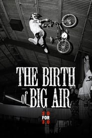 The Birth of Big Air' Poster