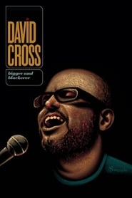 David Cross Bigger and Blackerer' Poster