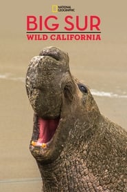 Big SurWild California' Poster