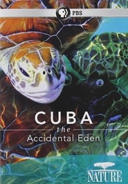 Cuba The Accidental Eden' Poster