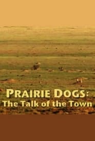 Prairie Dogs Talk of the Town' Poster