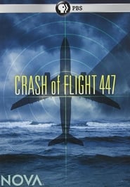 Crash of Flight 447' Poster