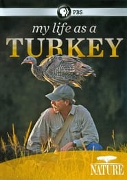 My Life as a Turkey' Poster