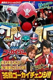 Kaizoku Sentai Gokaiger Lets Make an Extremely GOLDEN Show of it The 36Stage Gokai Change' Poster