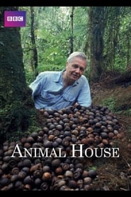 Animal House' Poster