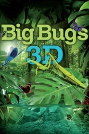 Big Bugs' Poster